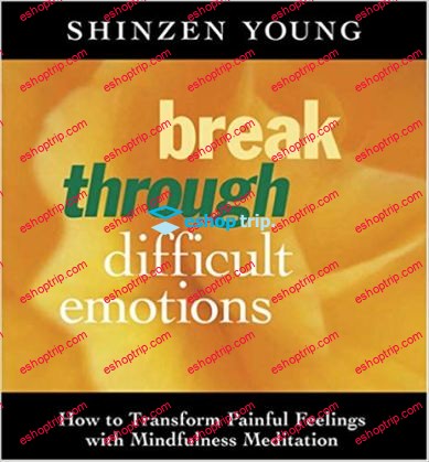 Shinzen Young – Break Through Difficult Emotions