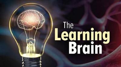 TTC Video The Learning Brain