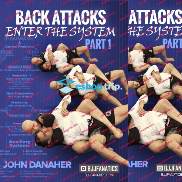 Back Attacks Enter The System