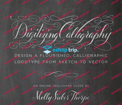 Digitizing Calligraphy From Sketch to Vector