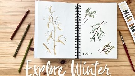 Explore Winter in Your Botanical Sketchbook