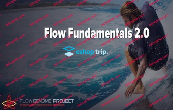 Flow Genome Flow Fundamentals 2.0