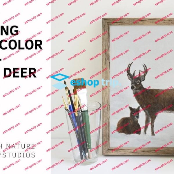 How to Paint a Winter White tailed Deer Larger Scale Watercolor Painting