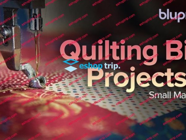 TTC Craftsy Video Quilting Big Projects on a Small Machine