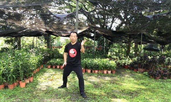 Tai Chi Chen Style for Beginner Strengthens Mind and Body