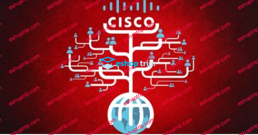 Cisco Networking CCNA OSPF