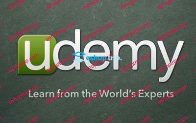 Michael Palmisano The Udemy Success Blueprint By Michael Palmisano 2015