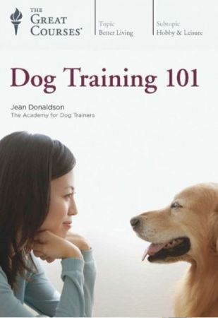 TTC Video Dog Training 101