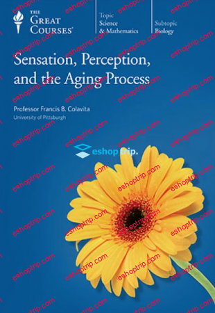 TTC Video Sensation Perception and the Aging Process