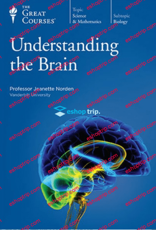 TTC Video Understanding the Brain