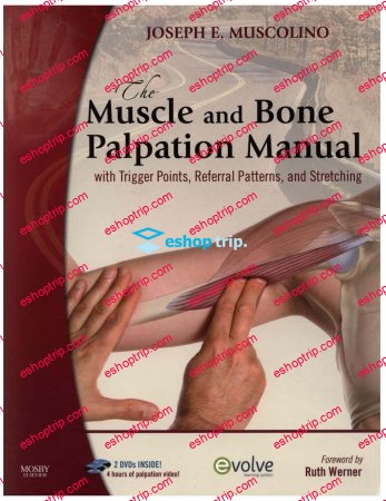 The Muscle and Bone Palpation Manual With Trigger Points Referral Patterns Stretch