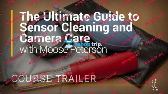 The Ultimate Guide to Sensor Cleaning and Camera Care