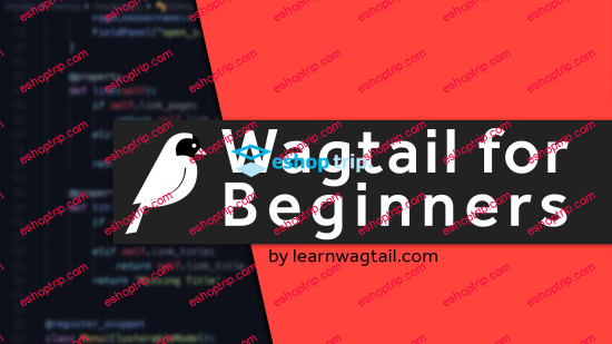 Wagtail for Beginners