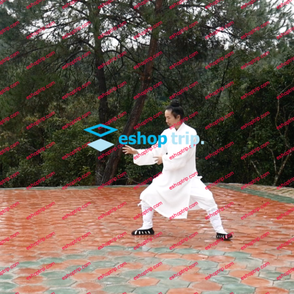 Wudang SanFeng TaiChi 108 Shi Demo video