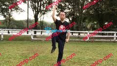 8 Basic Tai Chi Movements for Better Balance Reduces Falls