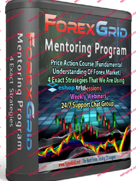 Avdo ForexGrid Mentoring Program