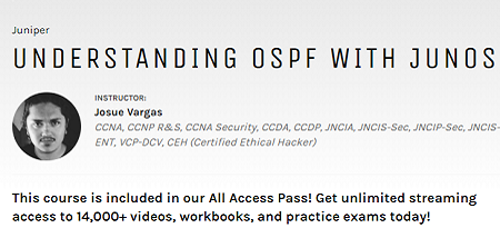 JUNOS INE Understanding OSPF