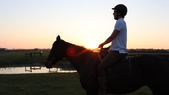 Speak the Horse Language Master Your Horsemanship Energy