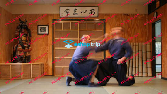 Taijutsu Fundamentals