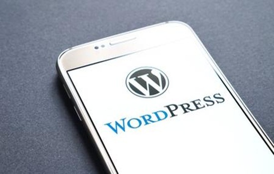 WordPress For Bloggers Beginners To Advanced