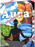 Aura 2.8.5i.194 Portable