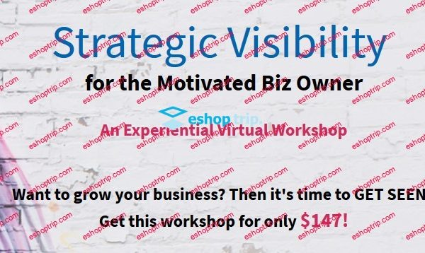 Britt Bolnick Strategic Visibility Workshop 2017