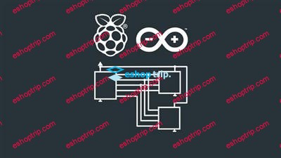 Communication Protocols for Raspberry Pi and Arduino