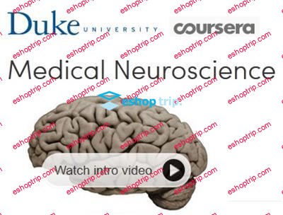 Coursera Medical Neuroscience 2015