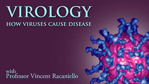 Coursera Virology II How Viruses Cause Disease 2020