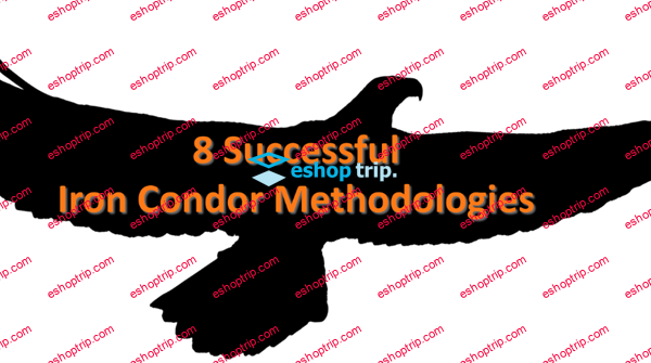 Dan Sheridan 8 Successful Iron Condor Methodologies