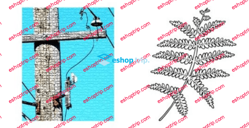 Distribution Power Engineering Fundamentals