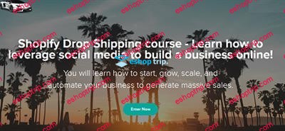 Sebastian Ghiorghiu Shopify Drop Shipping