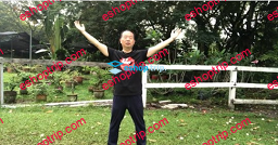 Six Healing Sounds Qi Gong with Tai Chi for Relaxation