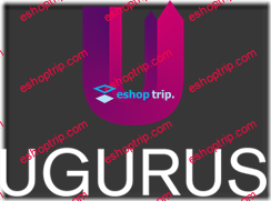 Ugurus Web Design Sales Kit