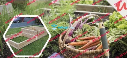 5 Easy to grow vegetables stackable vegetable planter