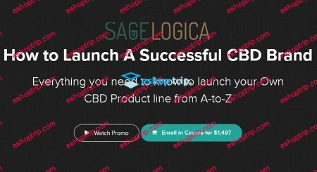 Bee Thomas Matt Sibert How To Launch A Successful CBD Brand