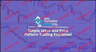 Chris Svorcik Simple Wave Analysis and Trading