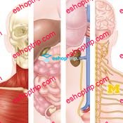 Coursera Anatomy Specialization by University of Michigan