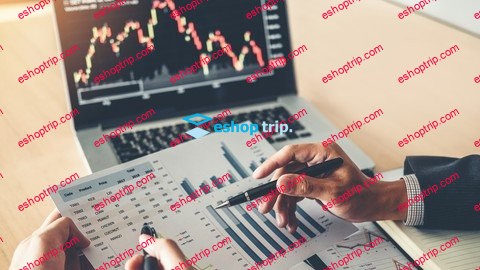 Financial Analysis in Excel Debt Management Ratios