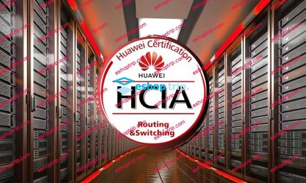 Huawei HCIA RS All Labs