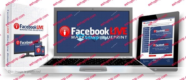 Kim Garst Facebook Live Marketing Blueprint