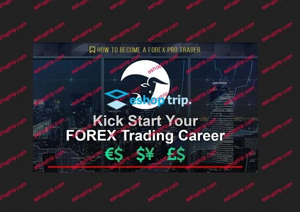 Live Traders How To Become A Forex Pro Traderr