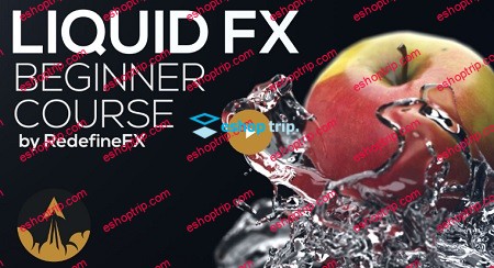 Phoenix FD Beginner Liquid FX Course 2019