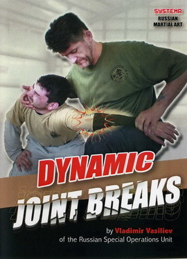 Systema with Vladimir Vasiliev Dynamic Joint Breaks