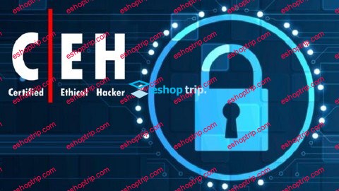 The Certified Ethical HackingCEH Course