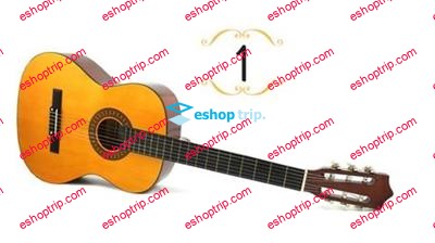 Classical Guitar Essentials The Basics Part 1