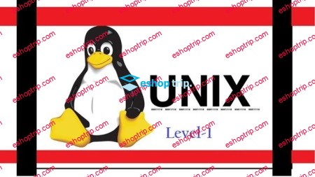 New to Unix Linux Command Learn Step by Step For Beginner