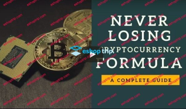 Sean Bagheri The Never Losing Cryptocurrency Formula