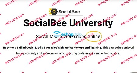 SocialBee SocialBee University