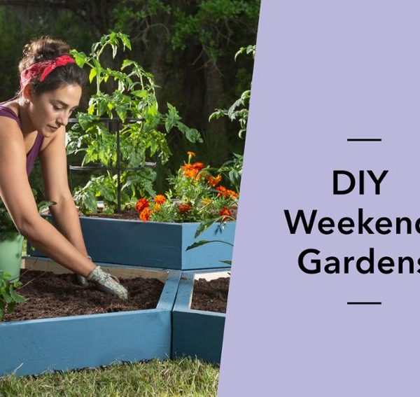 mybluprint DIY Weekend Gardens